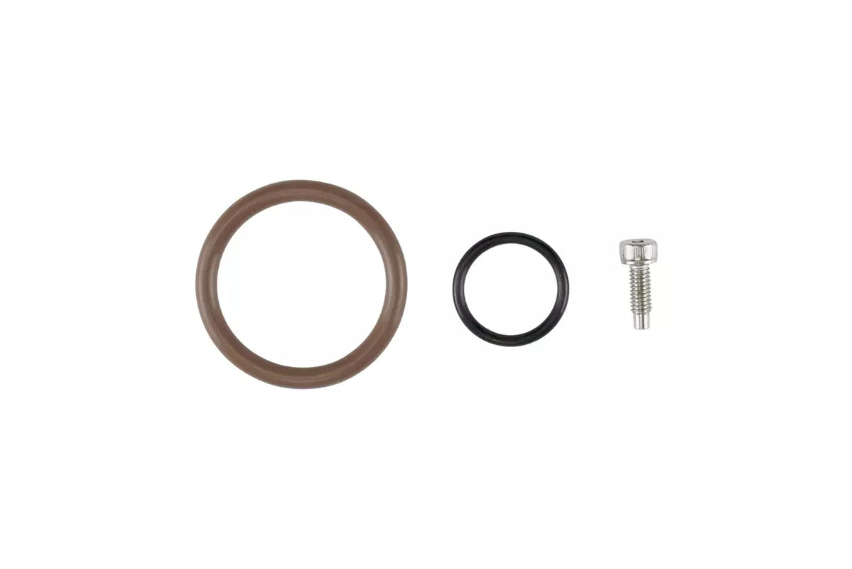 Oil Cap - LS O-Ring