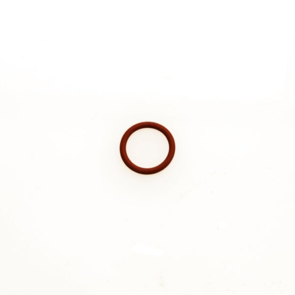 WG Valve Guide O Ring