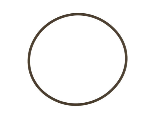 WG45/50 Actuator Cap O-Ring