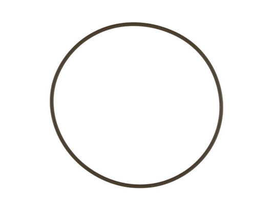 WG60 Actuator Cap O-Ring