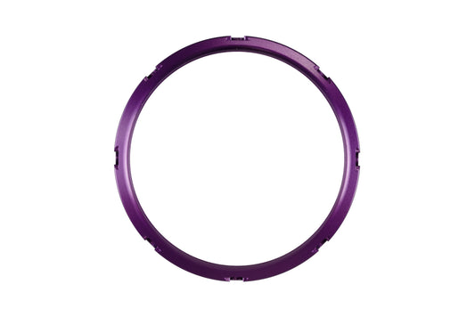 Turbosmart GenV WG45/50 Actuator and ProPort Collar Purple — BP OPREMA I SERVIS d.o.o.