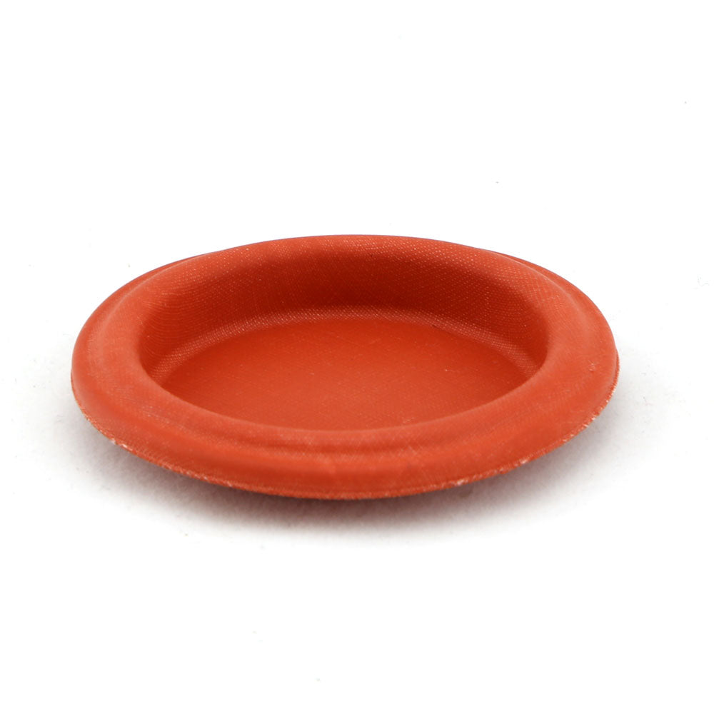 IWG75 TP Diaphragm Assembly Replacement