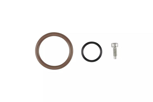Oil Cap - LS O-Ring